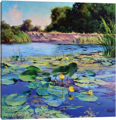 Water Lilies On A Sunny Day Canvas Art Print - Ruslan Kiprych