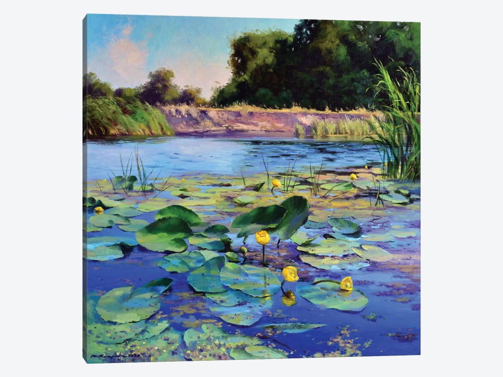 Water Lilies On A Sunny Day by Ruslan Kiprych 1-piece Art Print