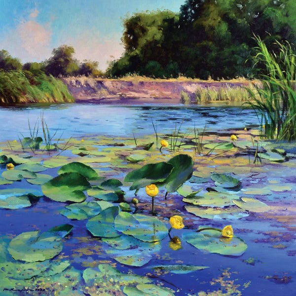 Ruslan Kiprych: Water Lilies On A Sunny Day by Ruslan Kiprych