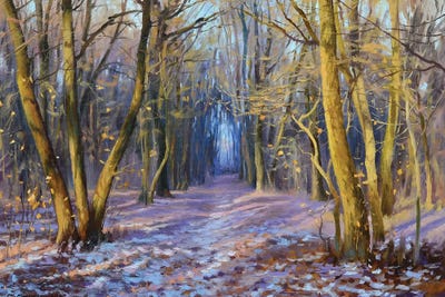 November In The Park by Ruslan Kiprych art print