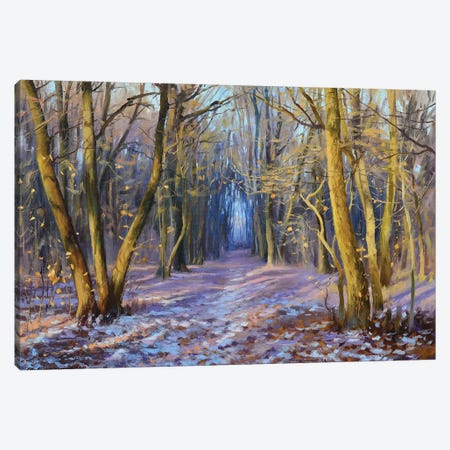 November In The Park Canvas Print #RKP5} by Ruslan Kiprych Canvas Wall Art