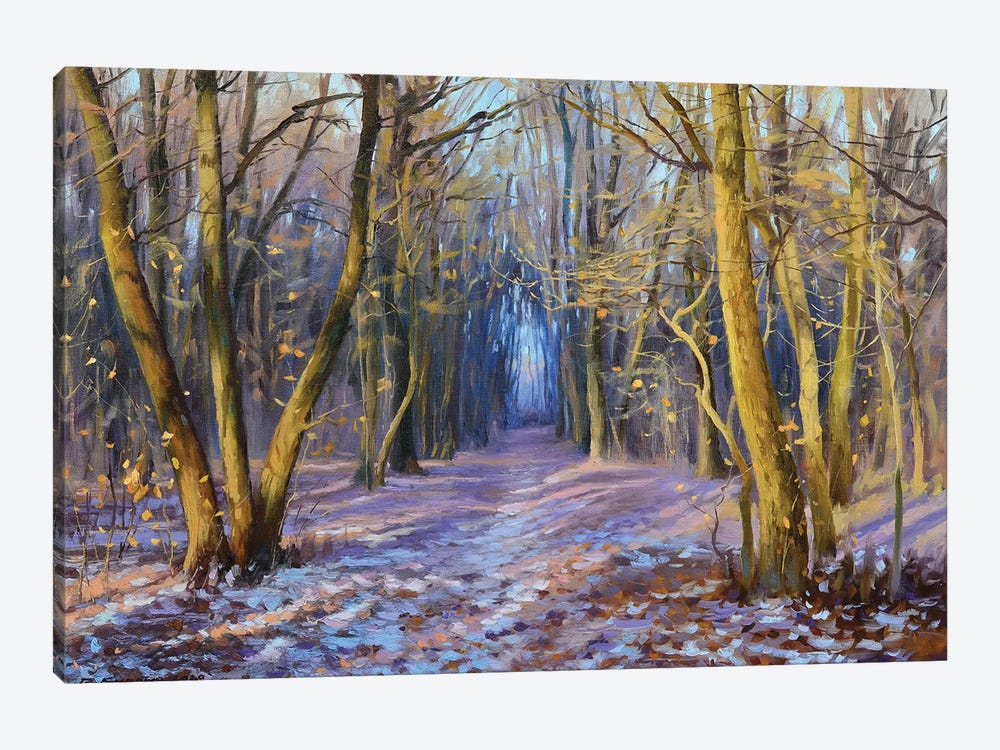 November In The Park by Ruslan Kiprych 1-piece Canvas Print