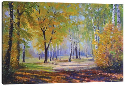 Autumn In The Birch Park Canvas Art Print - Ruslan Kiprych