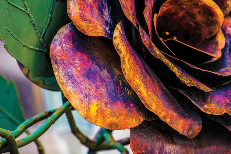 The Rose by Raymond Kunst wall art