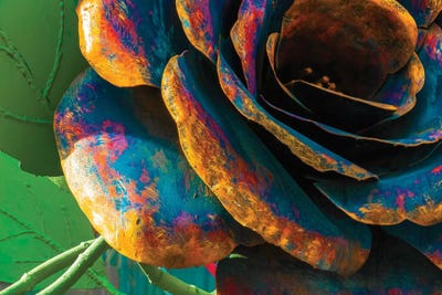 The Rose by Raymond Kunst canvas print