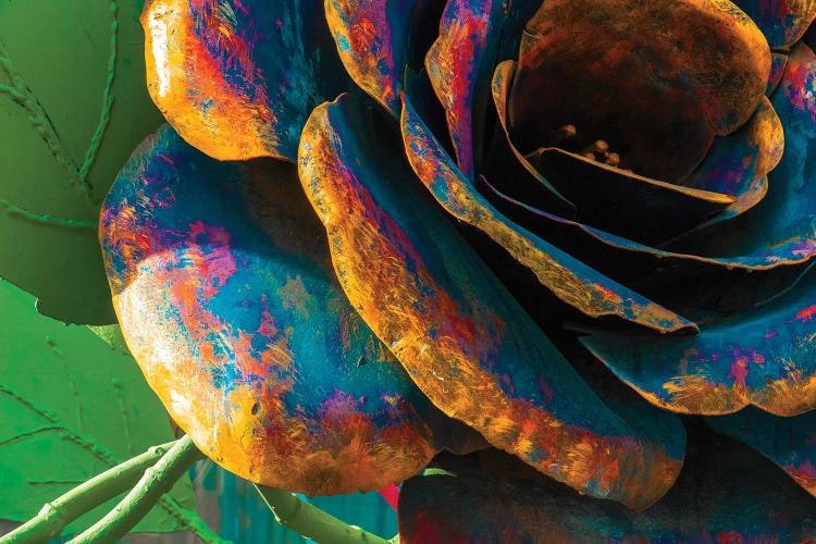 The Rose by Raymond Kunst wall art