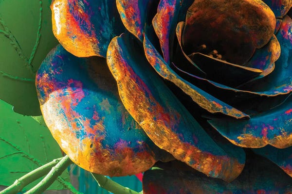 Raymond Kunst: The Rose by Raymond Kunst