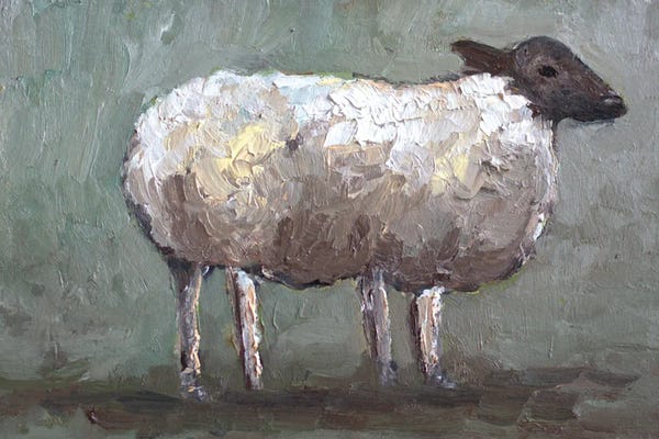 Sheep: Lamb by Romana Khomyn