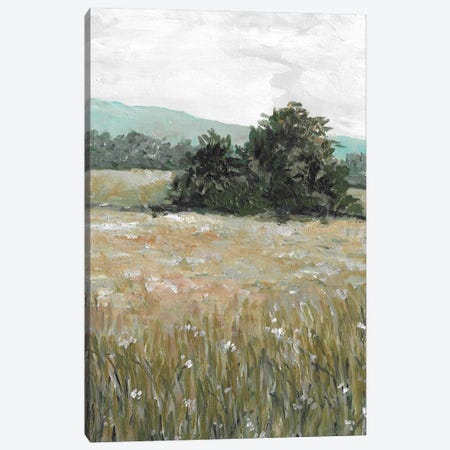 Meadow Landscape Canvas Print #RKY104} by Romana Khomyn Canvas Print