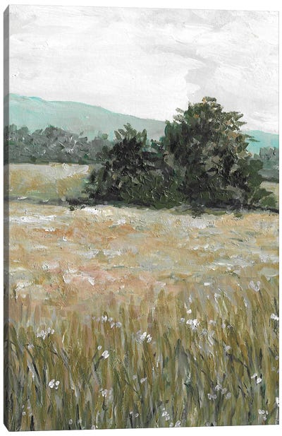 Meadow Landscape Canvas Art Print - Romana Khomyn