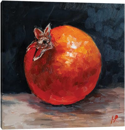 Pomegranate Canvas Art Print - Romana Khomyn