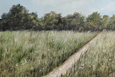 Summer Field by Romana Khomyn framed wall art