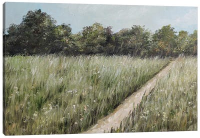 Summer Field Canvas Art Print - Romana Khomyn