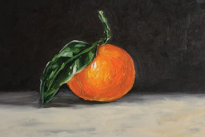 Fruit by Romana Khomyn canvas print