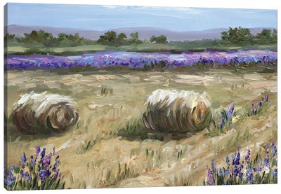Hay Bales Canvas Art Print - Lavender Art