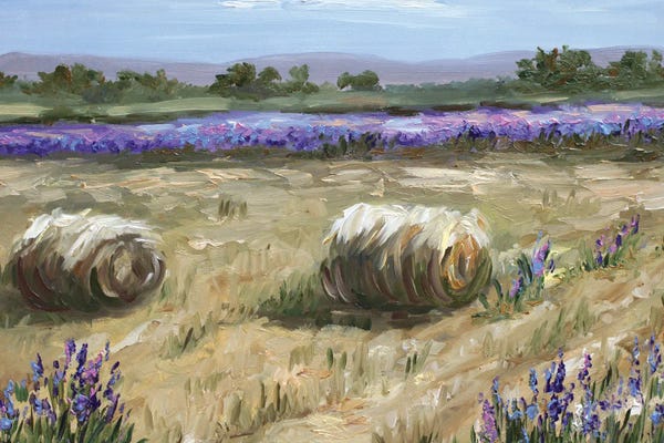 Lavender: Hay Bales by Romana Khomyn