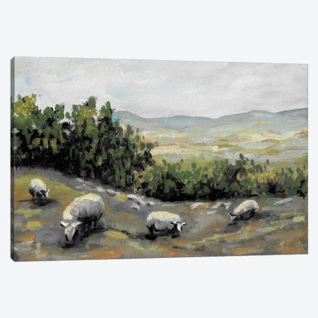 Sheep Grazing In The Field Canvas Print #RKY11} by Romana Khomyn Canvas Wall Art