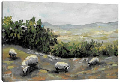 Sheep Grazing In The Field Canvas Art Print - Romana Khomyn