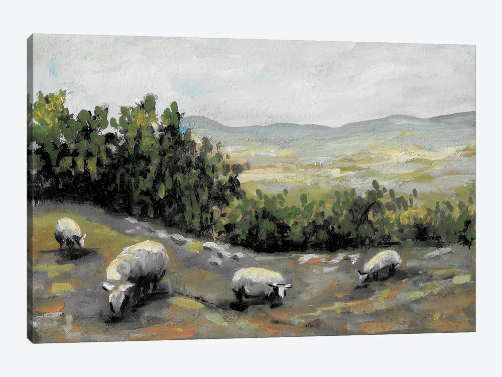Sheep Grazing In The Field by Romana Khomyn 1-piece Canvas Art Print