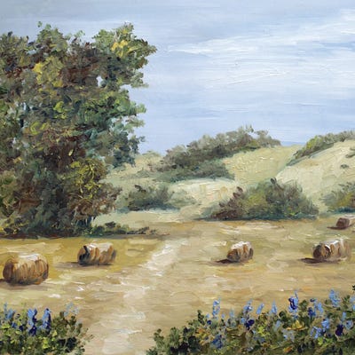 Texas Landscape by Romana Khomyn framed wall art