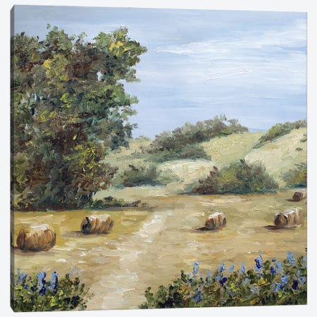 Texas Landscape Canvas Print #RKY120} by Romana Khomyn Canvas Art