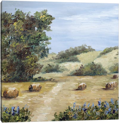 Texas Landscape Canvas Art Print - Romana Khomyn
