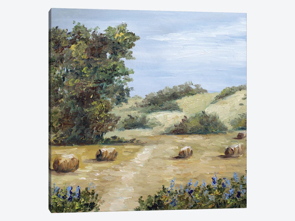 Texas Landscape by Romana Khomyn 1-piece Canvas Print