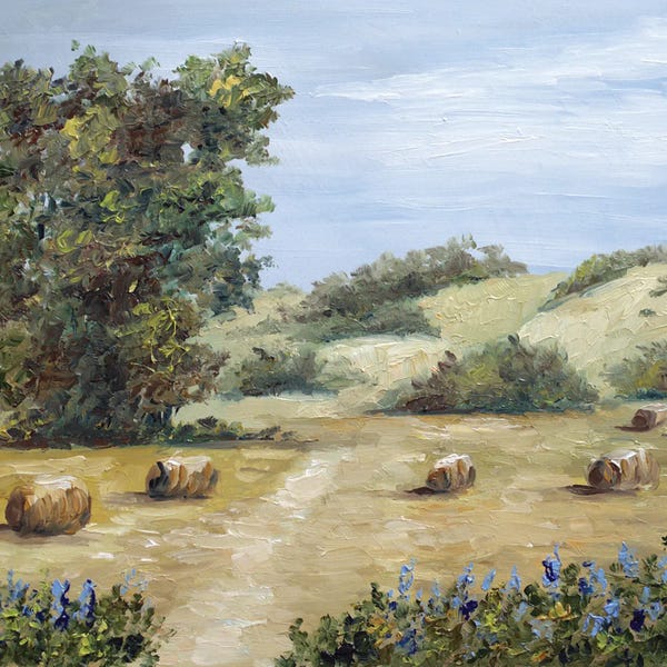 Canvas Print: Texas Landscape by Romana Khomyn