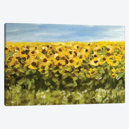 Sunflowers Landscape Canvas Print #RKY121} by Romana Khomyn Canvas Artwork