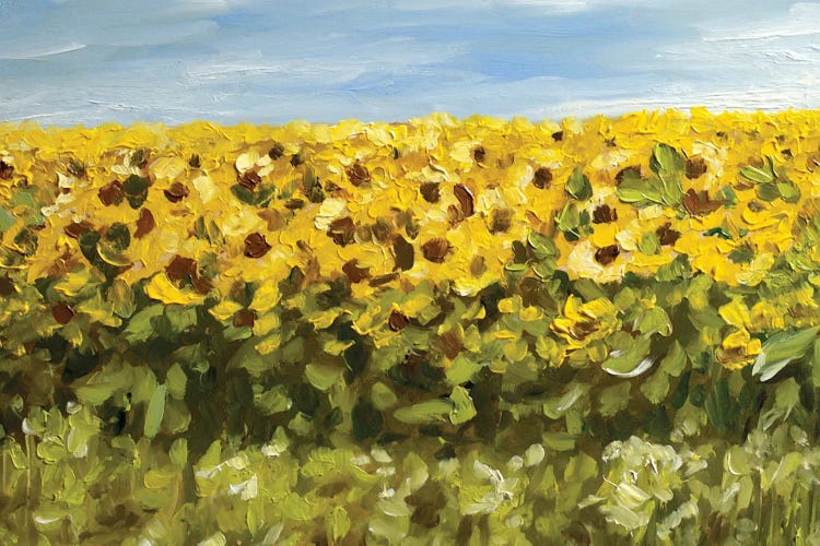 Sunflowers Landscape