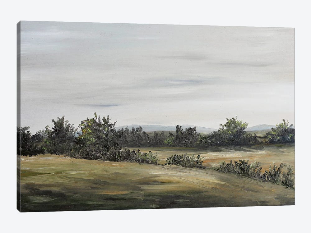 Muted Landscape by Romana Khomyn 1-piece Canvas Art Print