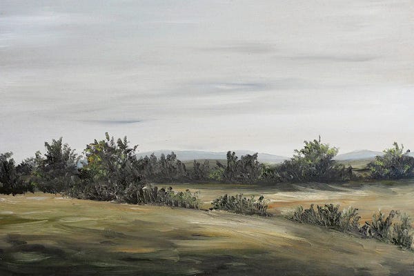 Romana Khomyn: Muted Landscape by Romana Khomyn