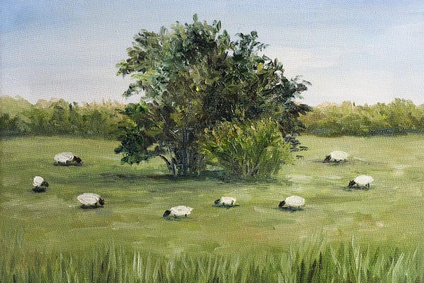 Sheep: Pastoral Painting by Romana Khomyn
