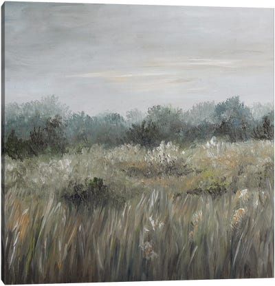 Neutral Meadow Landscape Canvas Art Print - Romana Khomyn