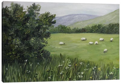 Sheep Grazing Painting Canvas Art Print - Romana Khomyn