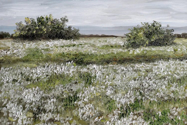 Spring Landscape With Blooming White Flowers