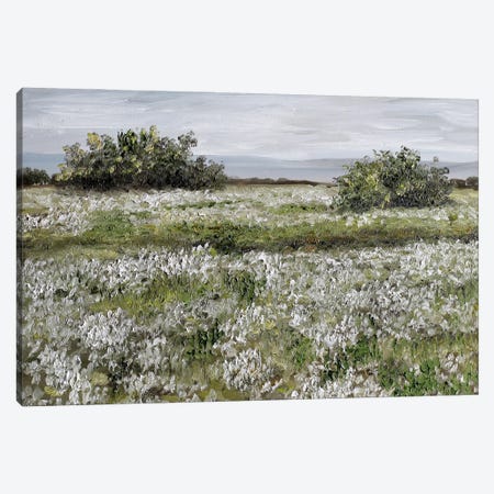 Spring Landscape With Blooming White Flowers Canvas Print #RKY137} by Romana Khomyn Canvas Artwork