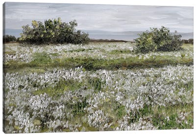 Spring Landscape With Blooming White Flowers Canvas Art Print - Romana Khomyn