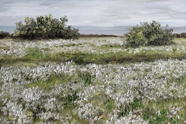 Romana Khomyn: Spring Landscape With Blooming White Flowers by Romana Khomyn
