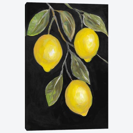 Lemon Tree Painting Canvas Print #RKY146} by Romana Khomyn Canvas Art Print