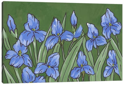 Irises Painting Canvas Art Print - Romana Khomyn
