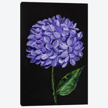 Blue Hydrangea Canvas Print #RKY154} by Romana Khomyn Canvas Artwork