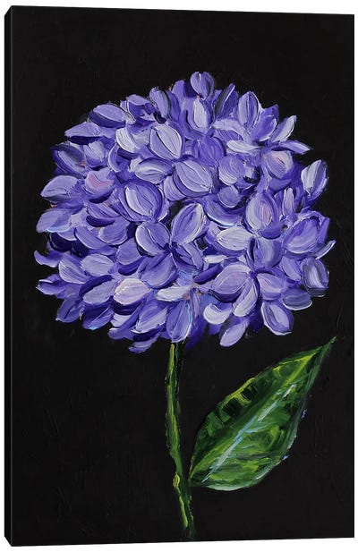 Blue Hydrangea Canvas Art Print - Romana Khomyn