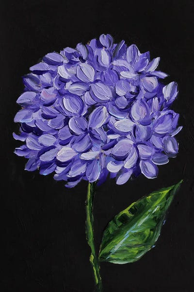 Hydrangeas: Blue Hydrangea by Romana Khomyn