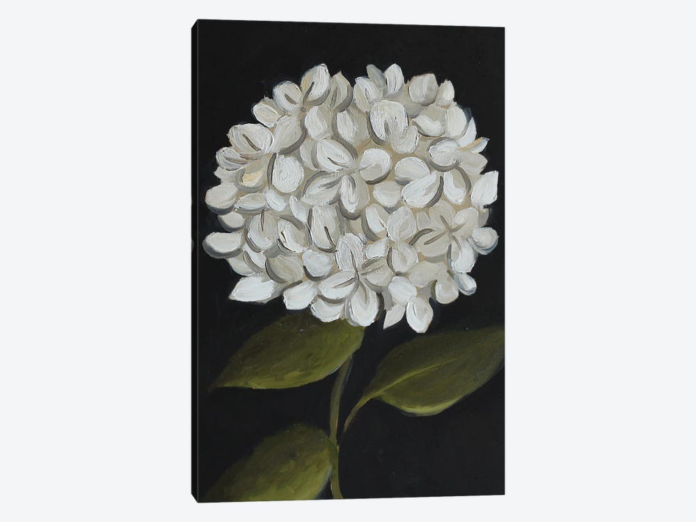 White Hydrangea by Romana Khomyn 1-piece Canvas Art Print