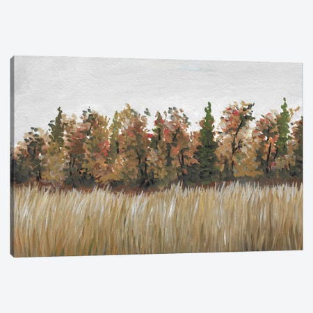 Autumn Landscape Canvas Print #RKY163} by Romana Khomyn Canvas Art
