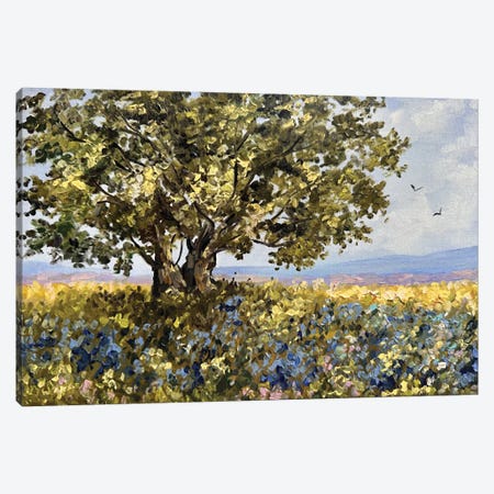 Texas Bluebonnets Landscape Canvas Print #RKY165} by Romana Khomyn Art Print
