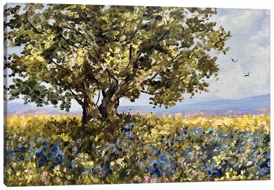 Texas Bluebonnets Landscape Canvas Art Print - Romana Khomyn