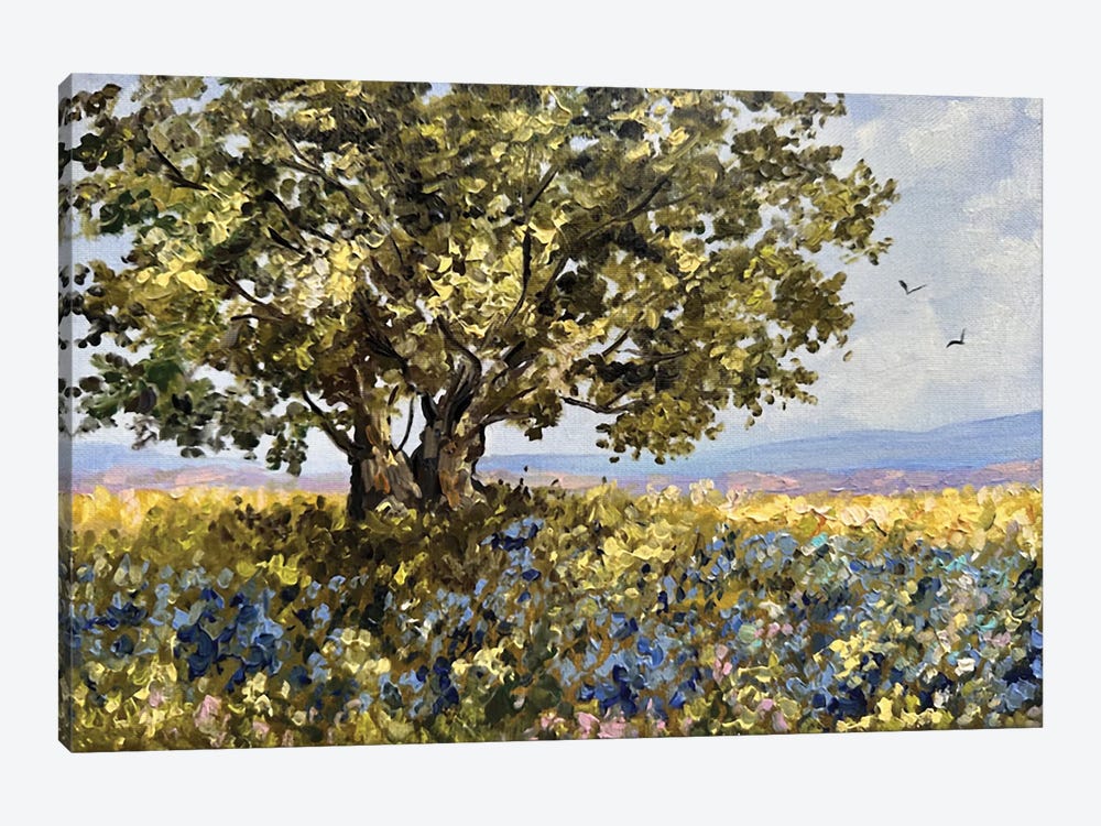 Texas Bluebonnets Landscape by Romana Khomyn 1-piece Canvas Artwork
