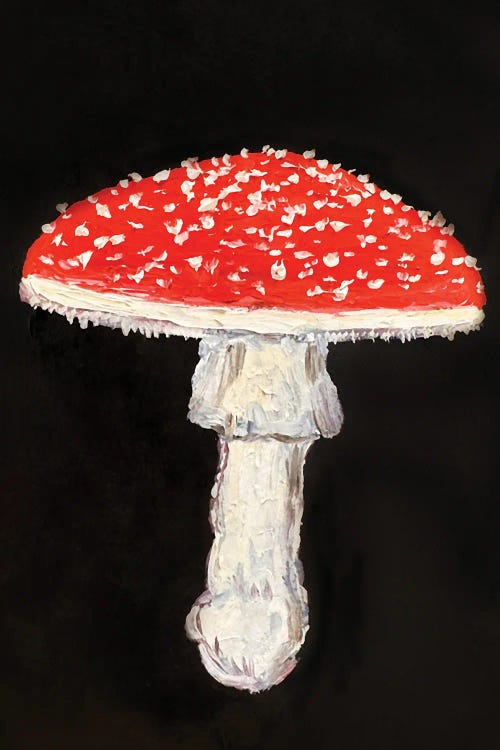 Fly Agaric Mushroom Fall by Romana Khomyn wall art